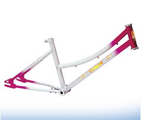 Bicycle Frame